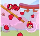 Angry birds lover